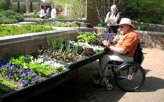 Accessible Garden