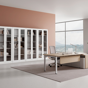Glass Door Metal Filing Cabinet with Lockable Steel Doors