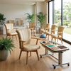 Ergonomic Senior Care Chair with Wooden Armrests | High Back Healthcare Dining & Patient Armchair