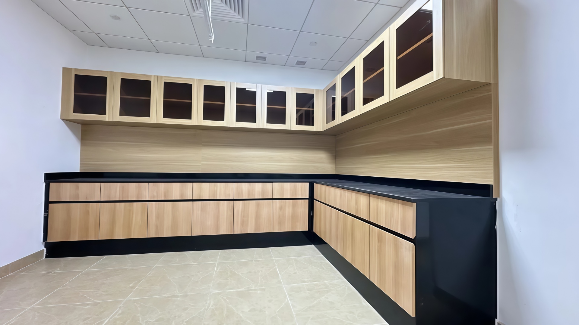 treatment cabinet 2