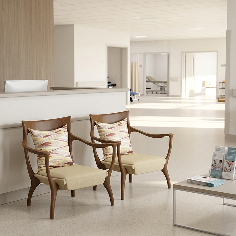 Living Armchair for Senior Ergonomic Healthcare Lounge Chair with Solid Wood Frame for Nursing Home & Medical Center 