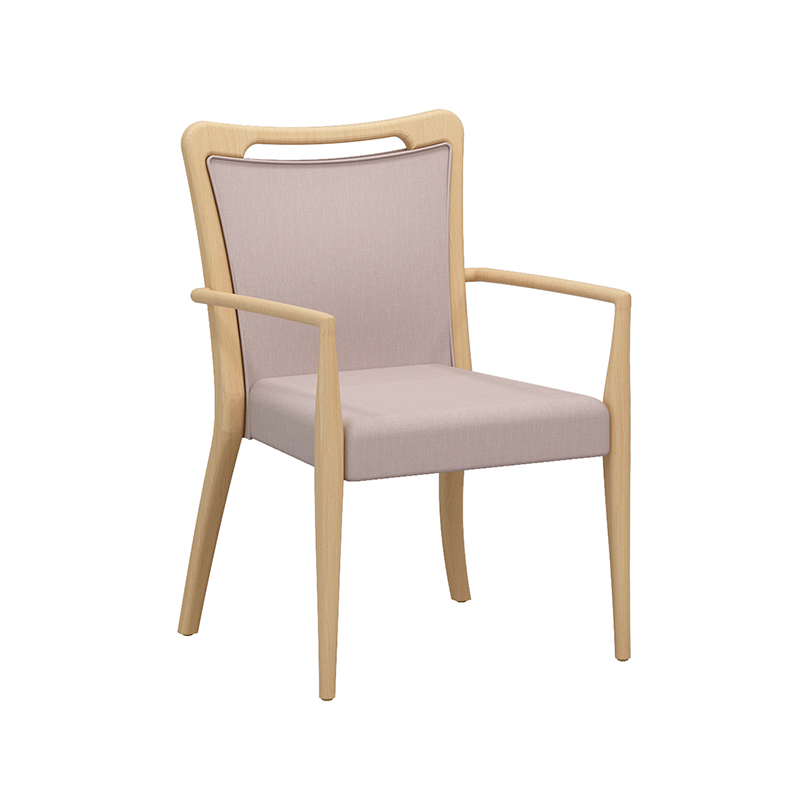 Healthcare Nursing Home Chairs - Wood Grain Metal Assisted Living Armchairs and Senior Patient Patient Patient Patient Room High-Back Lounge Seating