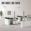 Metal Storage Cabinet Series for Office and Hospital Storage Walls