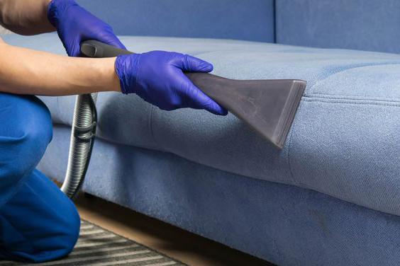 cleaning sofa