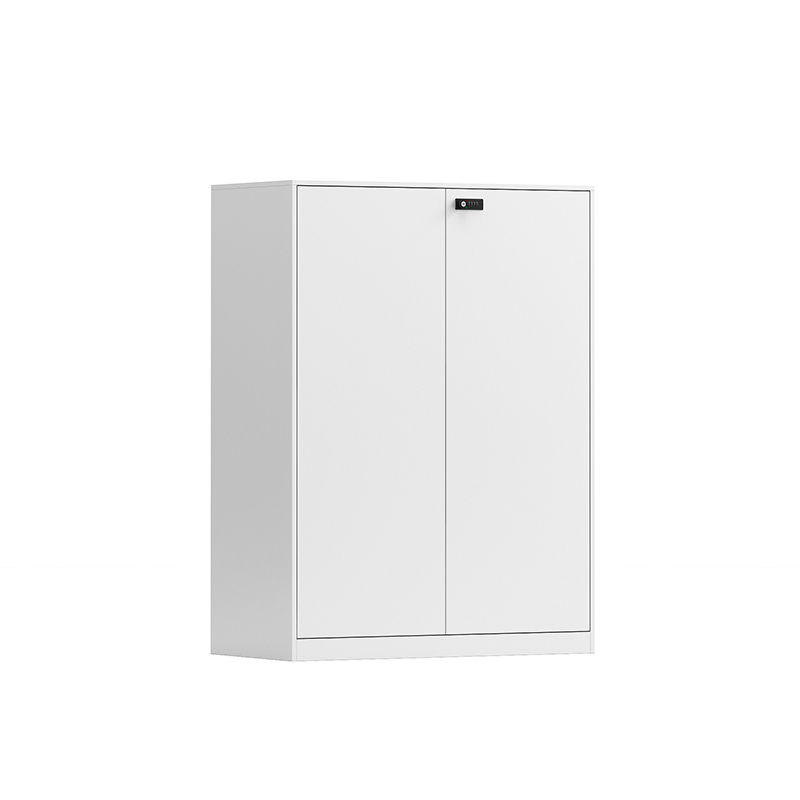 Lockable Metal Storage Cabinet with Code Lock and Adjustable Shelves