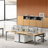 Wood Grain Metal Storage Cabinet Series with Glass and Solid Doors