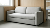 //5irorwxhrqkrjij.leadongcdn.com/cloud/krBpjKjlRilSlqqlmnpkk/Fixed-hospital-sleeper-sofa.png